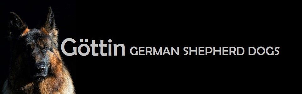 Göttin German Shepherd Dogs